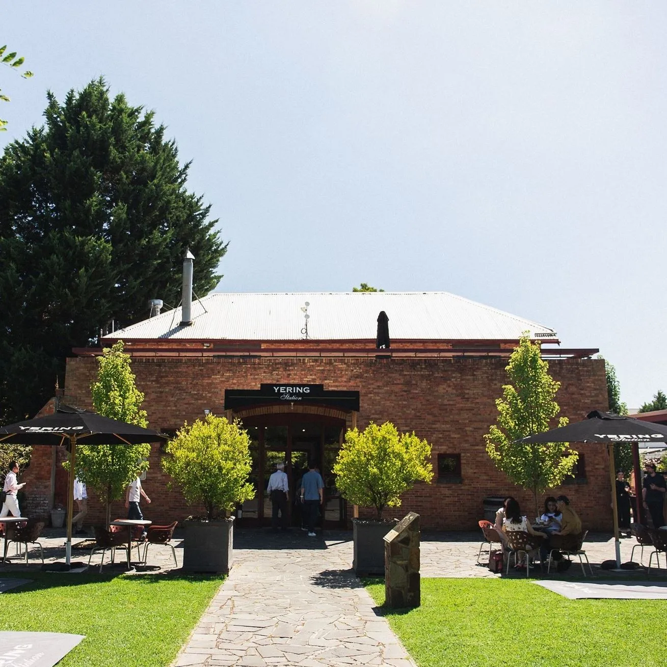 Best Time of Year for Wine Tours