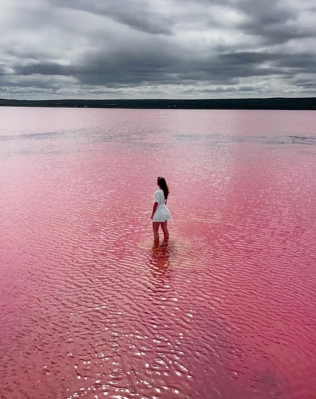 Hutt Lagoon (Pink Lake)
