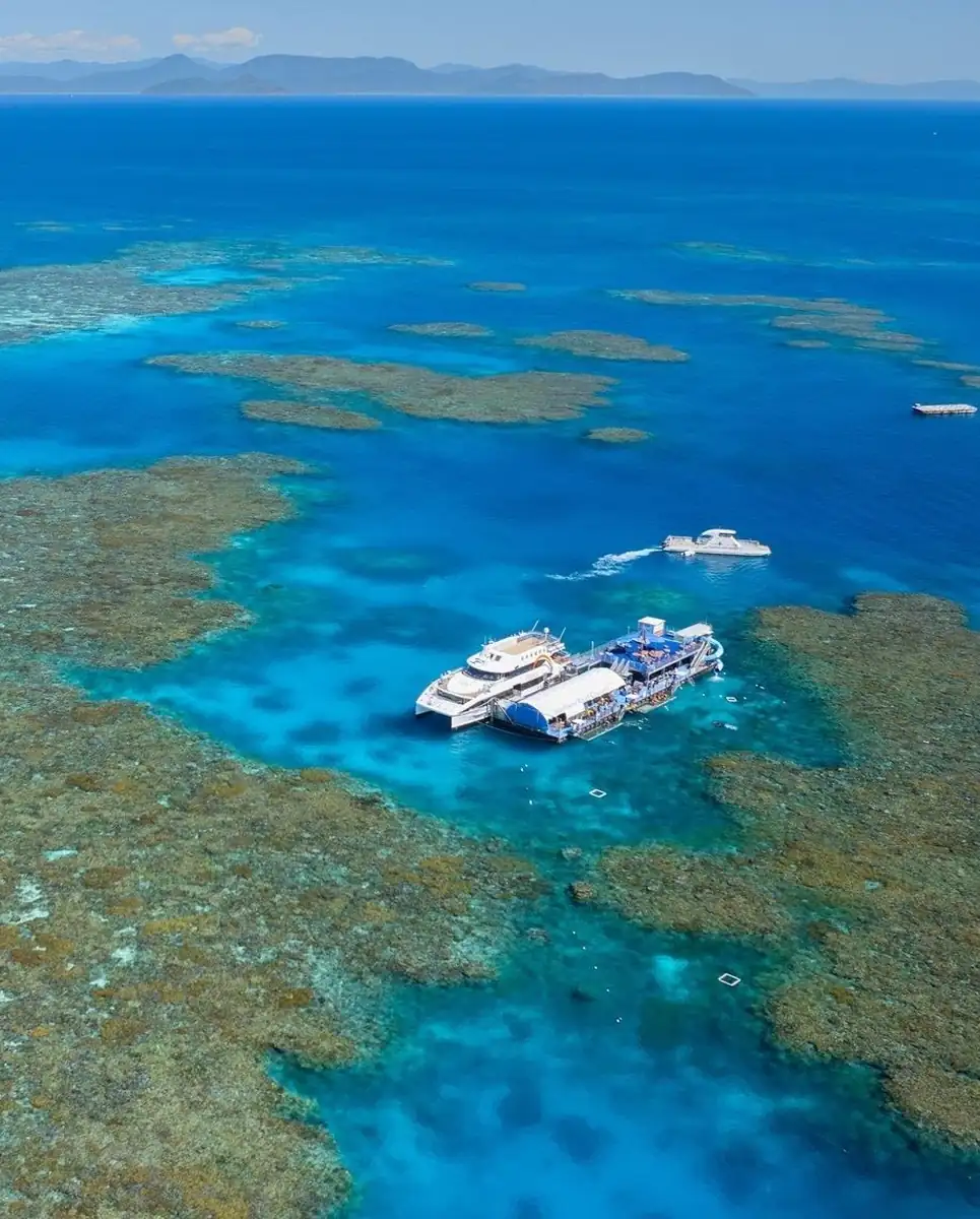 Operators Leading Coral Restoration