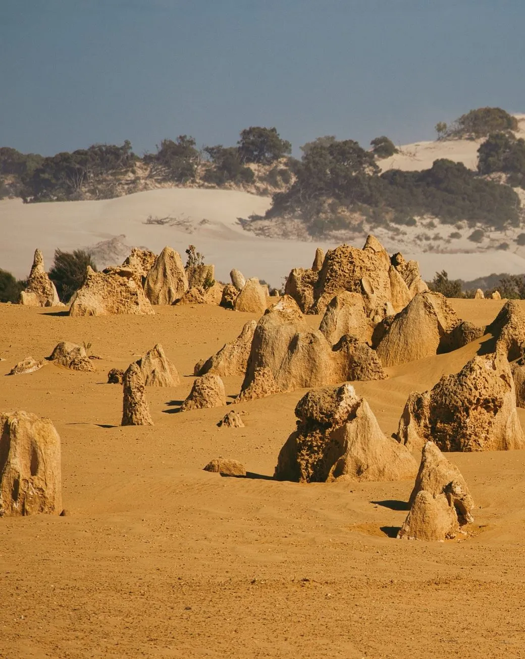 Pinnacles Desert