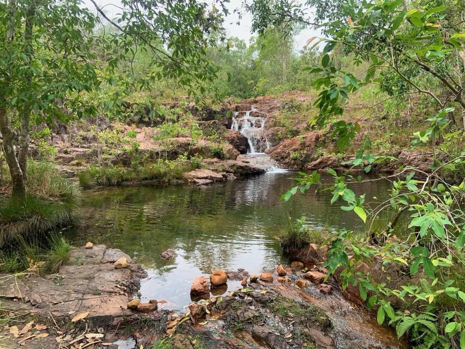 Walker Creek