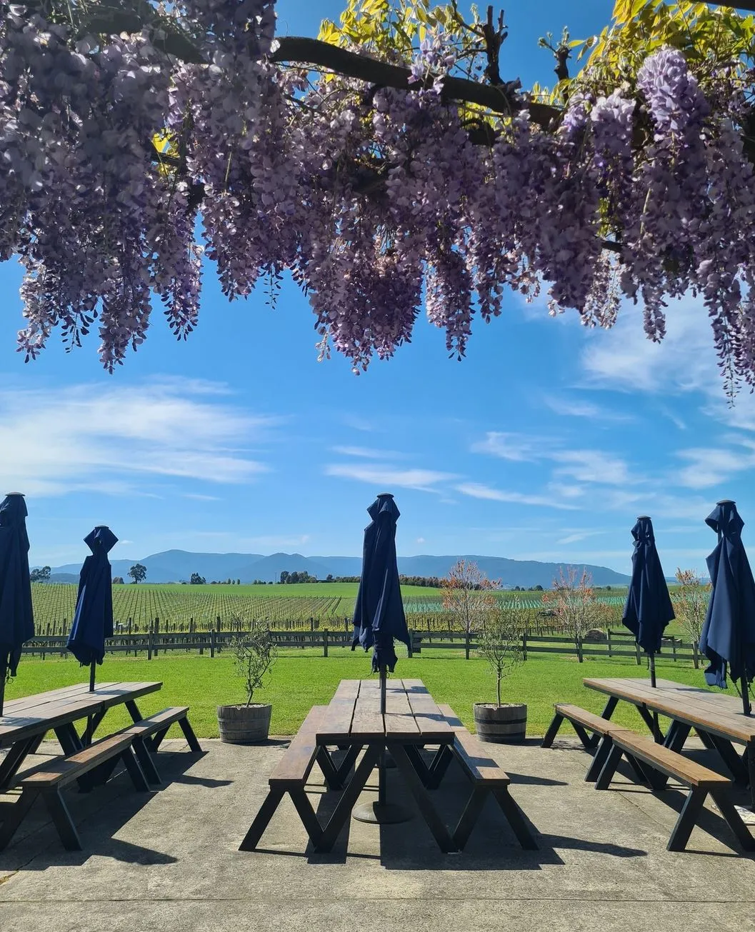 What time of year is best for wine tours in Melbourne?