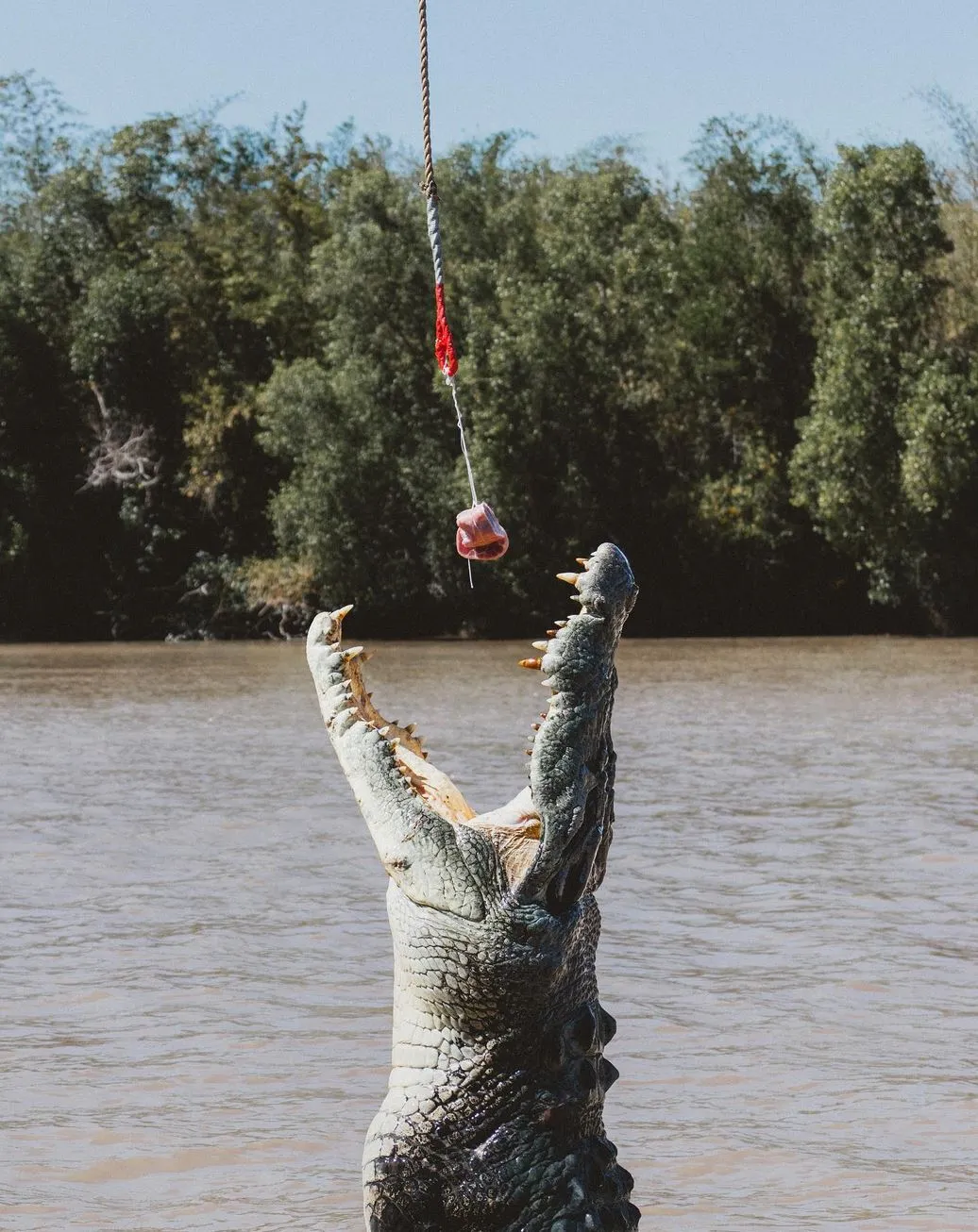 Jason's Developer Corner | What is the coldest month in Darwin? jumping crocodile cruise